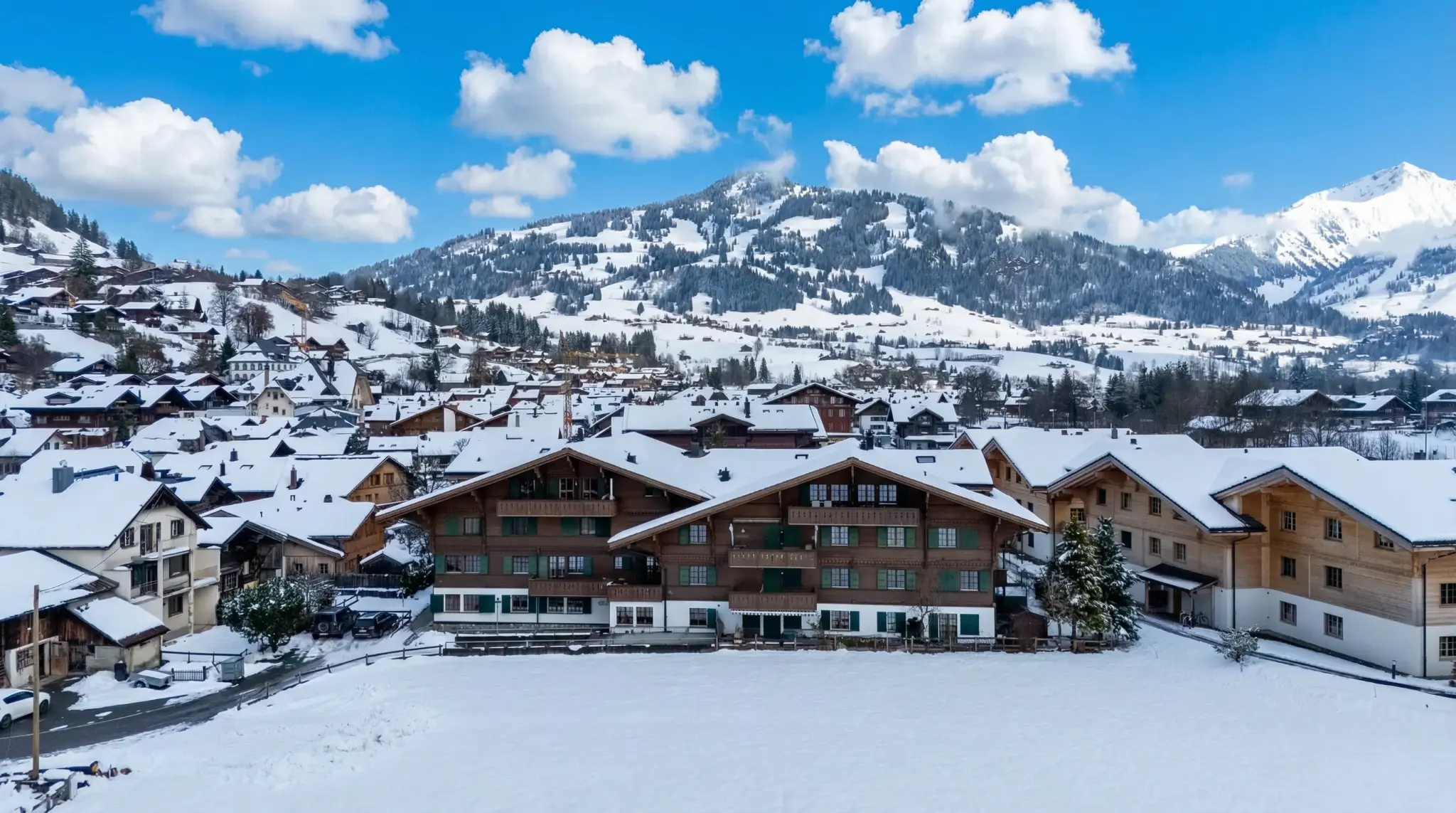 Saanen 4